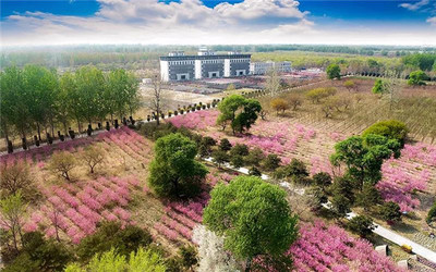 萬(wàn)桐園中標(biāo)回遷公墓項(xiàng)目,擬出資2370萬(wàn)元