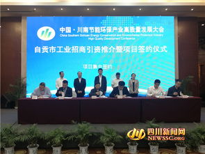 聚焦節能環保產業發展 16個工業項目落戶自貢