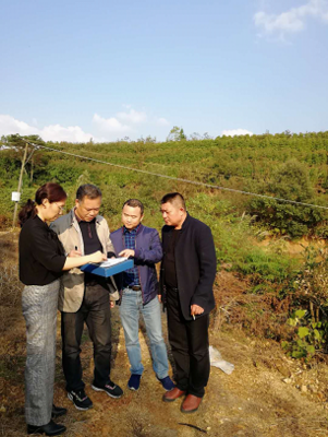 岳陽審計(jì)局開發(fā)區(qū)分局嚴(yán)把環(huán)保督查項(xiàng)目復(fù)核關(guān)